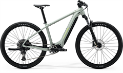 eBIG.NINE 675 Matt Early Moss Grey(Green)