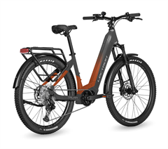 LECTRON Taura PS 17"