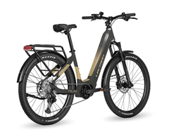 LECTRON Taura PX 17" Dark