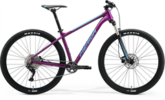 MERIDA BIG.NINE 200 Purple(Blue)