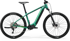 MERIDA eBIG.NINE 400 Matt Evergreen(Green)