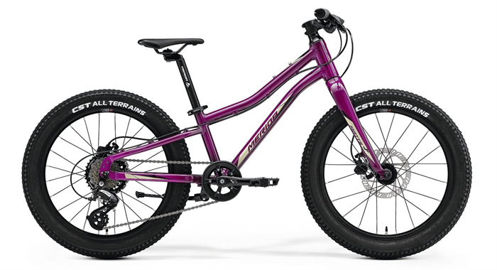 MERIDA MATTS J.20+ Purple(Black/Champagne)