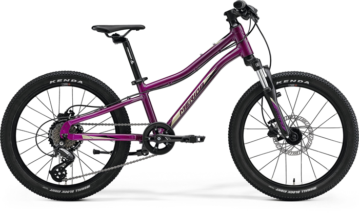 MERIDA MATTS J.20 Purple(Black/Champagne)