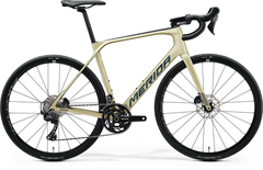 MERIDA SCULTURA ENDURANCE GR 5000 Silk Champagne(Black/Blue)