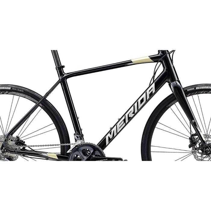 Rám SPEEDER 900 Metallic Black(silver/gold)
