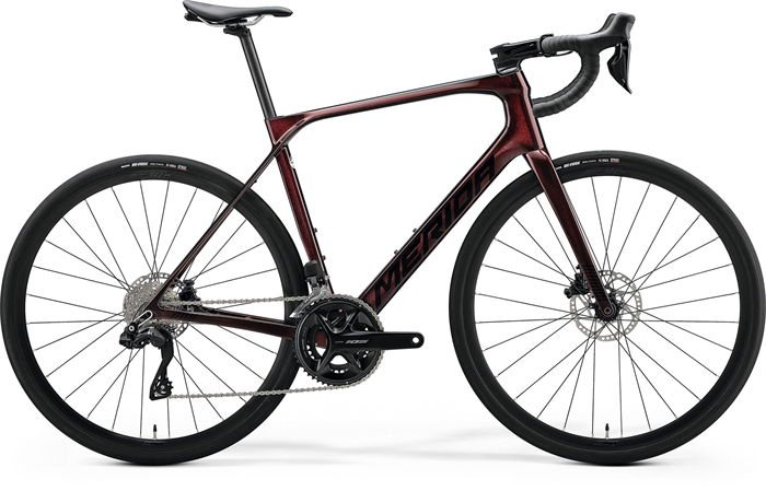 SCULTURA ENDURANCE 6000 Di2 Burgundy Red(Black)